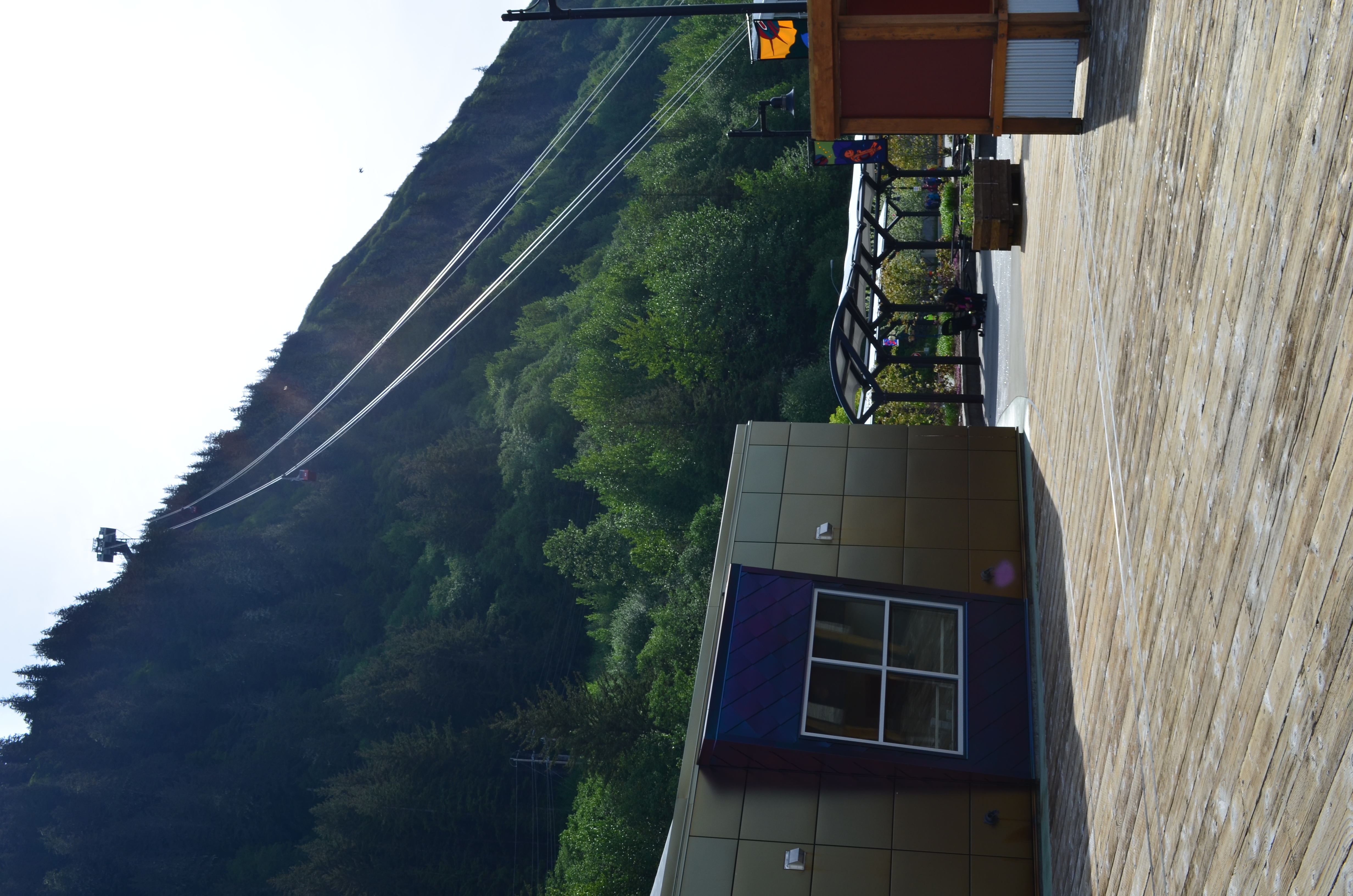 ./2017/08 - Alaska Cruise/08 - Juneau/DSC_0849.JPG